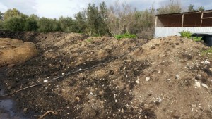 Παραγώμενο κομπόστ (3)