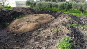 Παραγώμενο κομπόστ