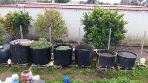 Υλικά για την κατασκευή βιολογικού κομπόστ