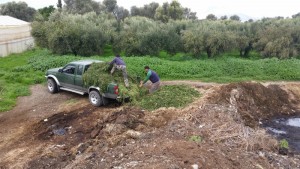 Φύλλα για την παραγωγή βιολογικού κομπόστ